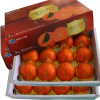 레드향3kg(9~10)*2