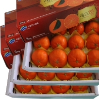 레드향3kg(9~10)*3