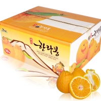 제주 한라봉 10kg