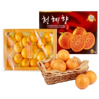 천혜향3kg(8~11입)