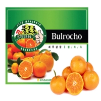 노지감귤 불로초3kg(31~49입)