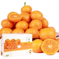 하우스감귤 황금알3kg(2S~M)