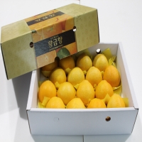 황금향3kg(15~20개)