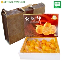 천혜향3kg(8~11 )+부직포