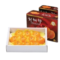 천혜향2kg+천혜향2kg