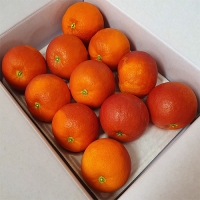 제주 블러드오렌지 2kg(7~12입)