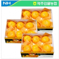 레드향 1.5kg * 3박스