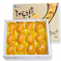 레드향3kg(10입~15입 ) 선물용