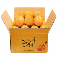 제주 카라향3kg(18~29입)-벌크포장