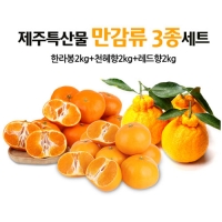 만감3종세트(6kg)