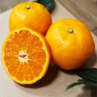 카라향 2kg(10-18)