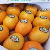 하우스감귤 불로초3kg(2S-M)