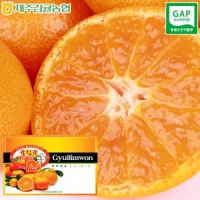하우스감귤 귤림원5kg(45-64입) + 부직포가방포함