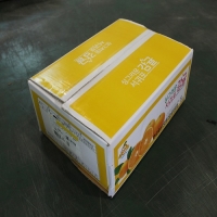 ★기간한정★노지감귤5kg(2S~L)