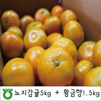 [감귤DAY이벤트] ★300박스한정★      노지감귤5kg+황금향1.5kg