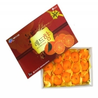 레드향3kg(8~11) +부직포