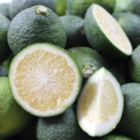 풋귤청 풀세트 5kg