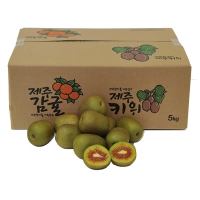 제주 레드키위(벌크) 5kg