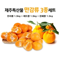 만감류 3종세트