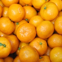 (행사) 당도선별 꼬마 하우스감귤 3kg