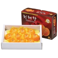 제주천혜향 3kg (8~12입)