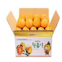 제주천혜향 3kg (12~20입), 벌크포장