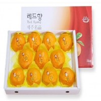레드향 5kg(13입~20입) 선물용