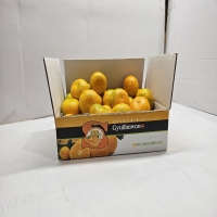 [귤림원] 하우스감귤 4.5kg (2S~M사이즈,로얄과, 벌크)