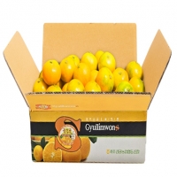 [귤림원] 하우스감귤 4.5kg (2S~M사이즈,로얄과, 벌크)