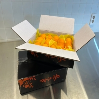 제주 카라향1.8kg(9~16입)-선물포장