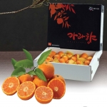 제주 카라향 3kg(15~20입)-선물포장