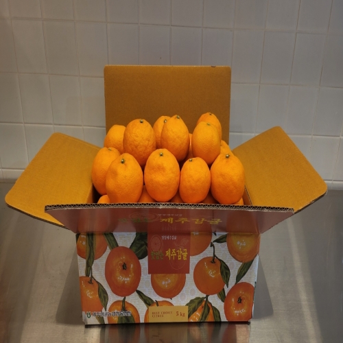 제주 카라향 4kg(20~35입)-벌크포장
