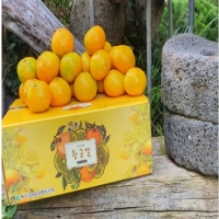 노지감귤 황금알2.5kg(L~2L, 대과, 벌크)