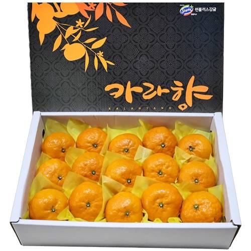 제주 카라향 3kg(15~20입)-선물포장